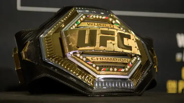 Betting on MMA in 2024: UFC Fights, Events, and How to Get Involved