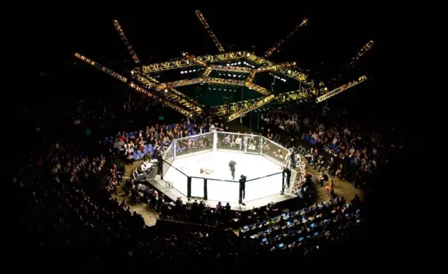 UFC Fight Results – Recent Events Overview